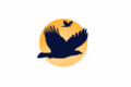 Two eagles flying